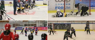 Morgondagens stjärnor får glänsa på samma sätt som A-laget • Webb-tv från hockeyskolornas intro • "Barnen ska få känna att det är lite extra"