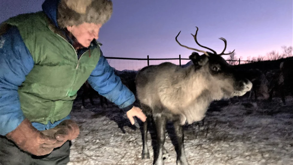 Viola Walkeapää och Nanu tillsammans igen efter att ha varit åtskilda sedan i april månad. 