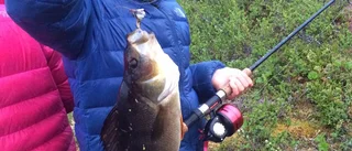 Lyckosamt fiskafänge