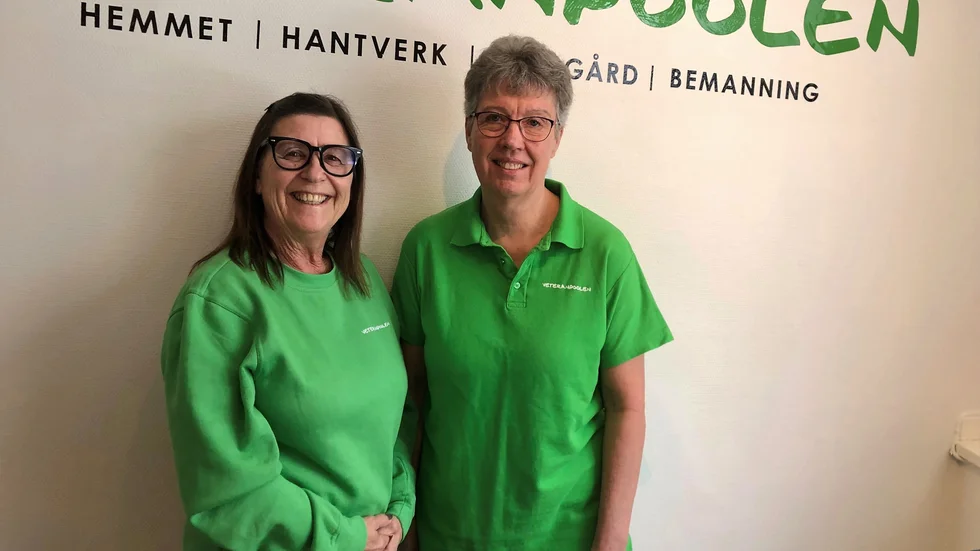 Lena Johansson, 67, och Ilse Lundholm, 65, hoppar in ett par gånger i veckan, två–tre timmar, och gillar att göra jobben ihop. Pengarna de tjänar spelar mindre roll, anser de.
"Det är bara en bonus", säger Lena. "Vi har ju gubbar så vi klarar oss ändå" säger Ilse och skrattar. 
