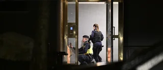 Rekord i dödsskjutningar - vad gör regeringen?