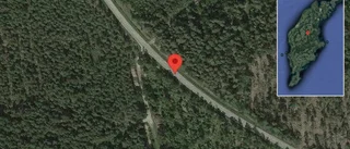 Fallna träd skapar problem i trafiken på väg 631