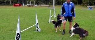 Bäst i Norden sedan husse blivit biten