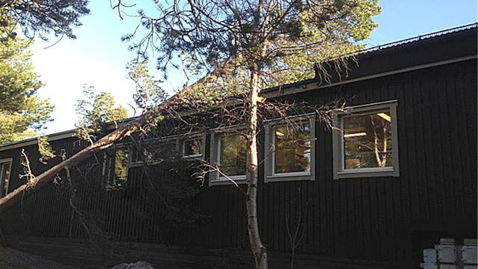Träd blåste omkull när en storm drog fram vid Stora Sjöfallet natten mot söndagen.