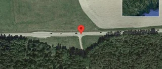 Fallna träd skapar problem i trafiken på väg 57