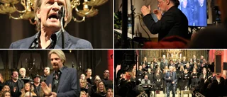 Se bilderna från när Tommy Nilsson trollband publiken i Visby