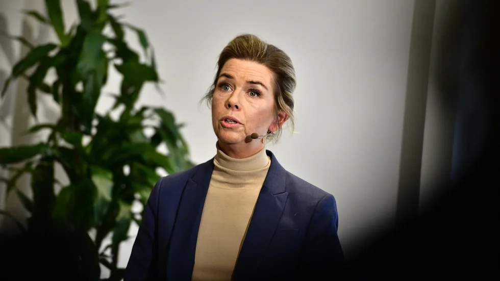 Lägre räntor och inflation glädjer handlarna, men konsumtionen har inte börjat öka, enligt Sofia Larsen, vd på branschorganisationen Svensk Handel. Arkivbild