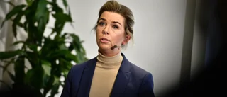 Svensk Handel: Inga tecken på ökad konsumtion