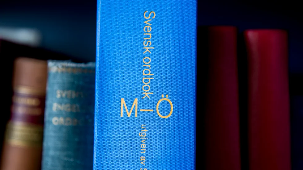 Hovrätten tog hjälp av Svensk ordbok för att definiera ordet snippa. Arkivbild.