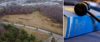 Överklagande vänner tillräckligt mogna för att delta