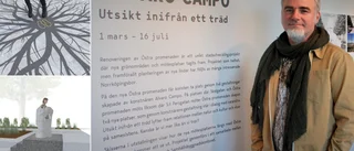 Så blir den nya konsten i Promenaden