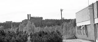 Glada miner i Svappavaara