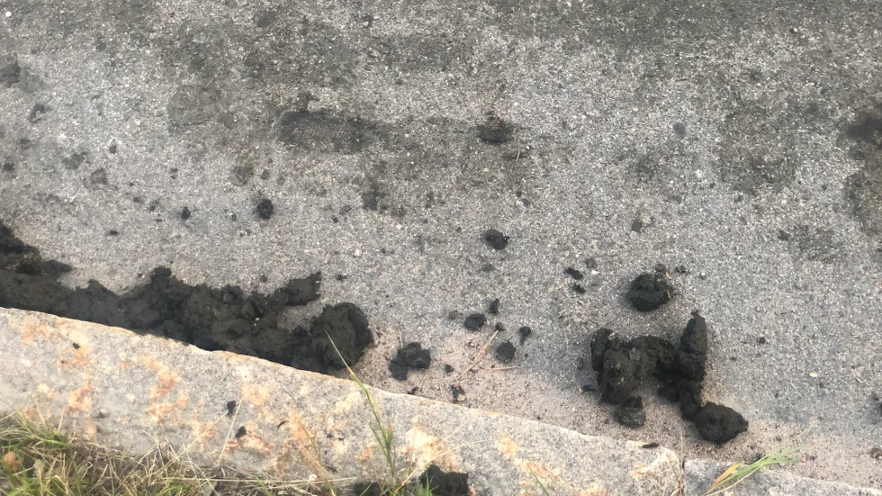 Rester av rötslam som tappades ut på Metallvägen under tisdagen.