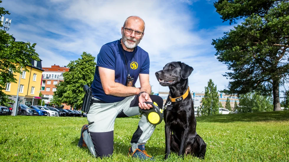 Polisens hundförare Roger Markaberg och husrannsakanshunden, jaktlabradoren Chili, som är nyförvärvet bland tjänstehundar i länet.