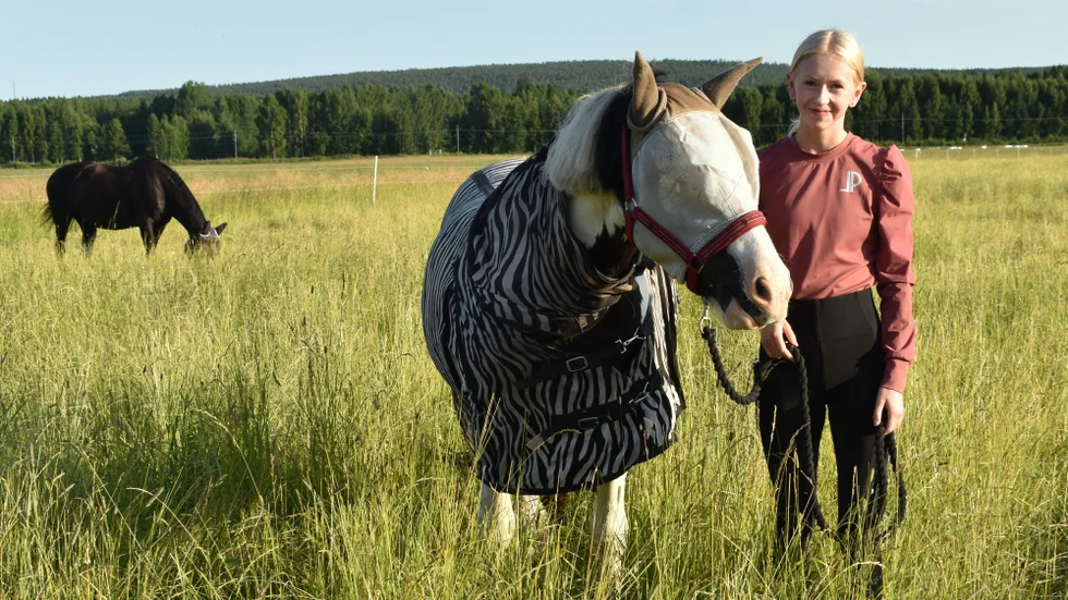 Ida Björk hämtar sin ponny ”Kakan” i hagen. Kakan har täcke och huva som skydd mot flugor.