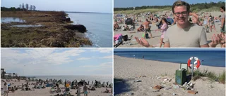 Strandens soptunnor försvann – nedskräpningen minskade • "Soptunnorna fylls otroligt snabbt och blir överfulla"