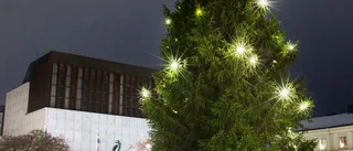 Får politikerna frid – i juletid?