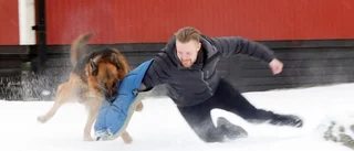 2018 i bilder: Kyla, snyggt ljus och tuffa tag
