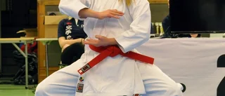 Medaljregn över karateklubbarna