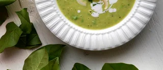 Vegan – är det lösningen för miljön?