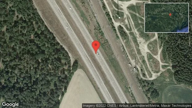 Rådjur på vägen på E20