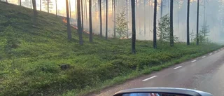Klimatförändringarnas konsekvenser syns redan nu i vardagslivet