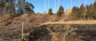 Löveldning ledde till gräsbrand