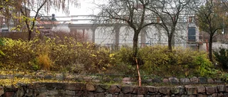 Ras när område bakom Åkroken undersöktes