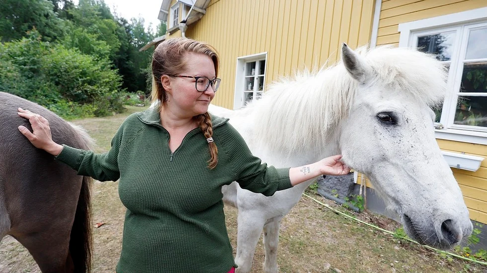 Tre hästar rymde. Islandshästarna Lelle och Hilmar (bilden) kom till rätta, men shettisen Gige förolyckades. Niina Levenrot är ledsen och frustrerad, men också tacksam över all hjälp.