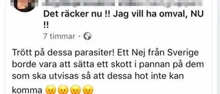 Ex-vikariens rasism: "Trött på dessa parasiter"