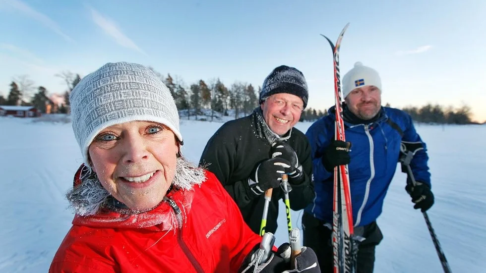 Skidspår JS1.jpg