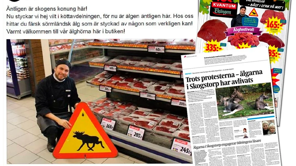 Nej, det är inte älgfamiljen i Skogstorp som syns i annonserna.