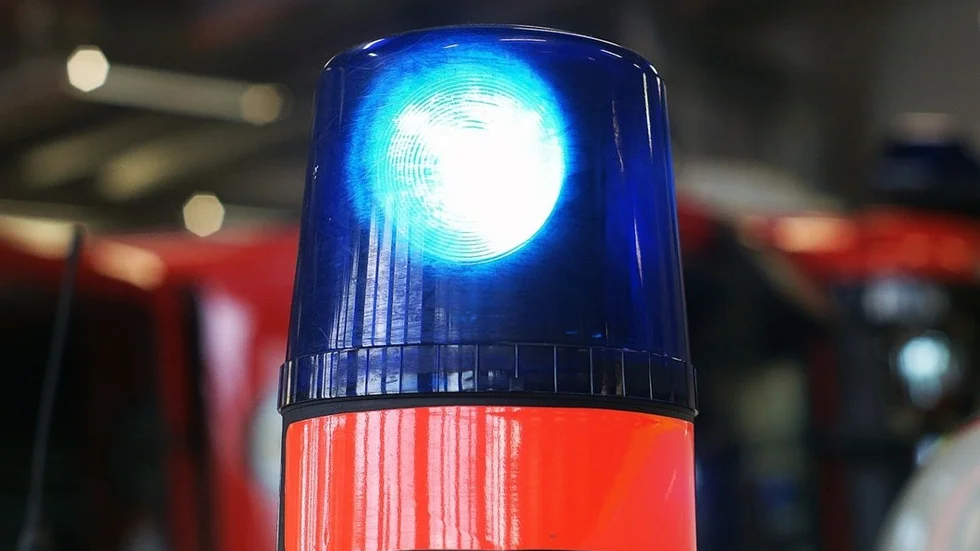 9890939.jpg