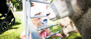 Djurens dag på Julita gård lockade stora som små