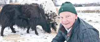 Palmes okända djur