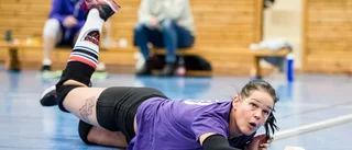 Vinst och förlust för lokala volleylagen