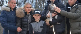 Efter intensivt sökpådrag – valpen Butch, sex månader, är hemma igen