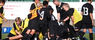 Gemensamt Fannajubel efter finalen i P-09