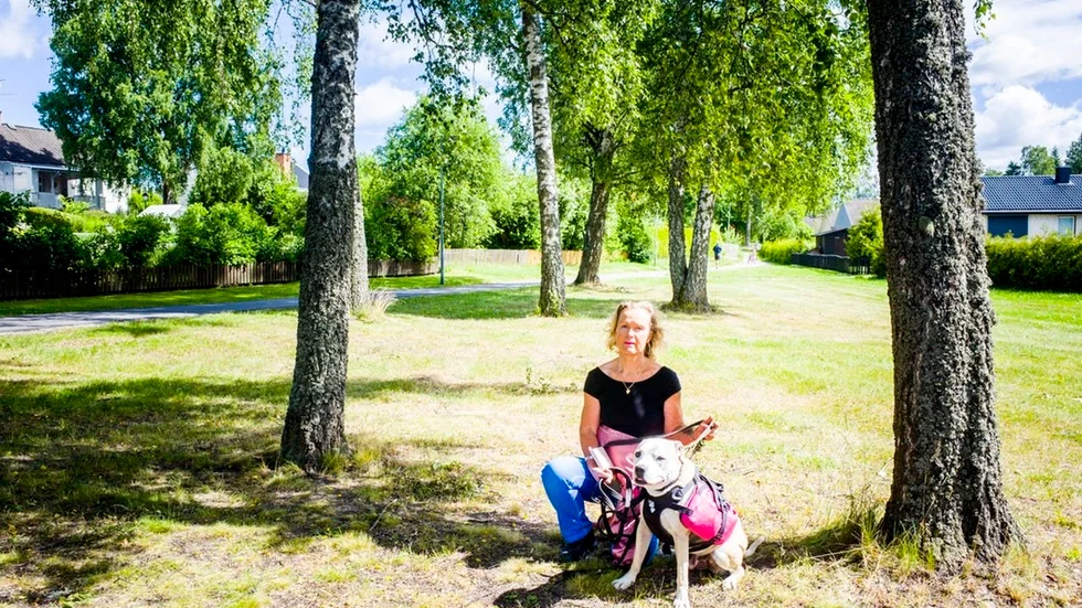 Marie Granlöf Persson säger att hon redan i tisdags förra veckan noterade att konstverket var borta. Kvar på platsen fanns då endast de blå banden som hållit fast verket.