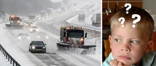 Trots snö och kyla – våren är faktiskt här
