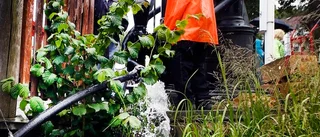 Ånga för hela slanten i Torshälla