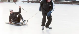 Bosse trivs på Backavallens is