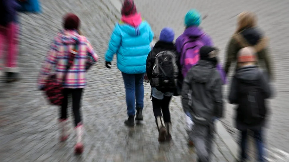 "Mycket tyder på att barn som får röra på sig under skoldagen mår bättre, lär sig mer och presterar bättre", skriver Kristina Sparreljung tillsammans med professorer från Karolinska Institutet och Gymnastik- och idrottshögskolan.