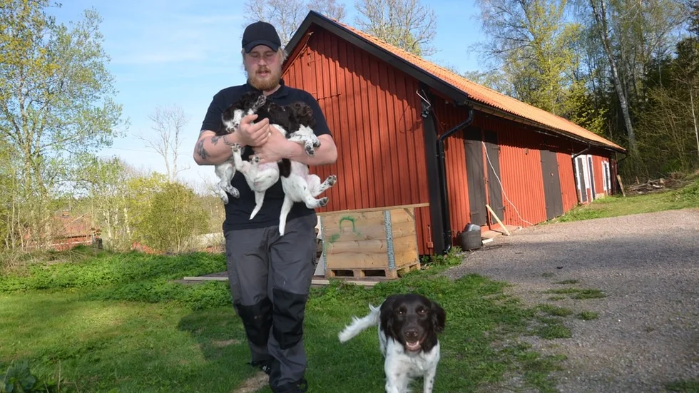 Hundtränaren Christoffer Lund på sin gård i Vagnhärad med sina 6 veckor gamla valpar.