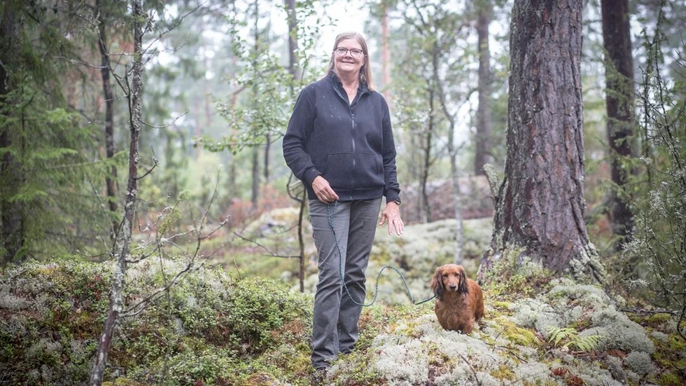 Trots grått och regn tar sig ekipaget alltid ut i skogen.