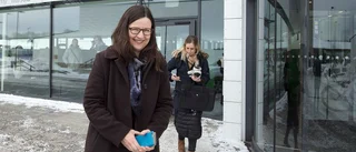 Ministerkvartett till möte i Nyköping