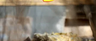När paniken utbröt handlade Simon och Michaela