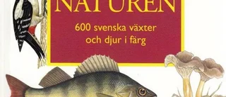 Ta första steget ut på vandringsleden