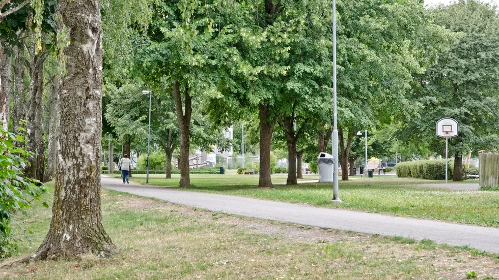 Det var på en gångväg i den östra änden av Thuleparken som en man i 40-årsåldern skadades efter ett bråk på söndagskvällen.
