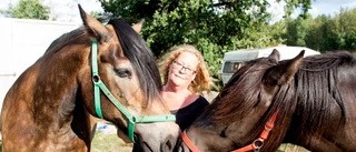 Lena Hansen driver hästkollektivet med hjärtat